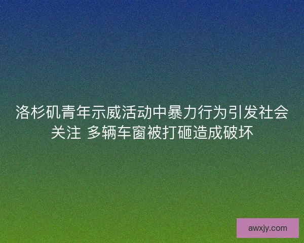 洛杉矶青年示威活动中暴力行为引发社会关注 多辆车窗被打砸造成破坏