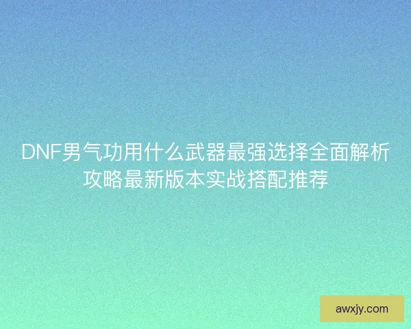 DNF男气功用什么武器最强选择全面解析攻略最新版本实战搭配推荐