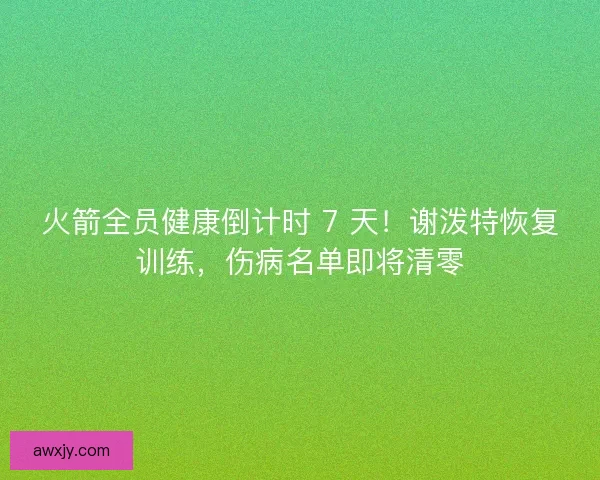 火箭全员健康倒计时 7 天！谢泼特恢复训练，伤病名单即将清零
