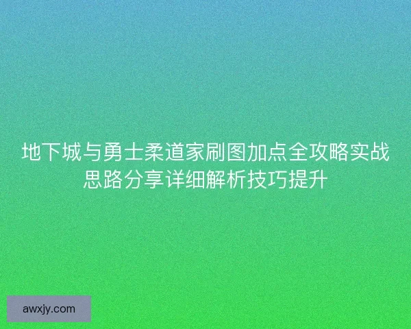 地下城与勇士柔道家刷图加点全攻略实战思路分享详细解析技巧提升