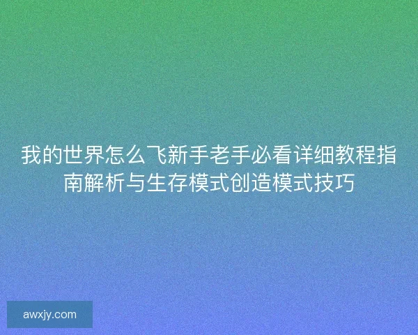 我的世界怎么飞新手老手必看详细教程指南解析与生存模式创造模式技巧